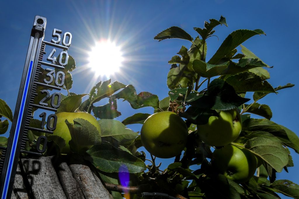 Deutsche Welle: Τι πρέπει να κάνουν οι πόλεις για να ανταπεξέλθουν στον καύσωνα
