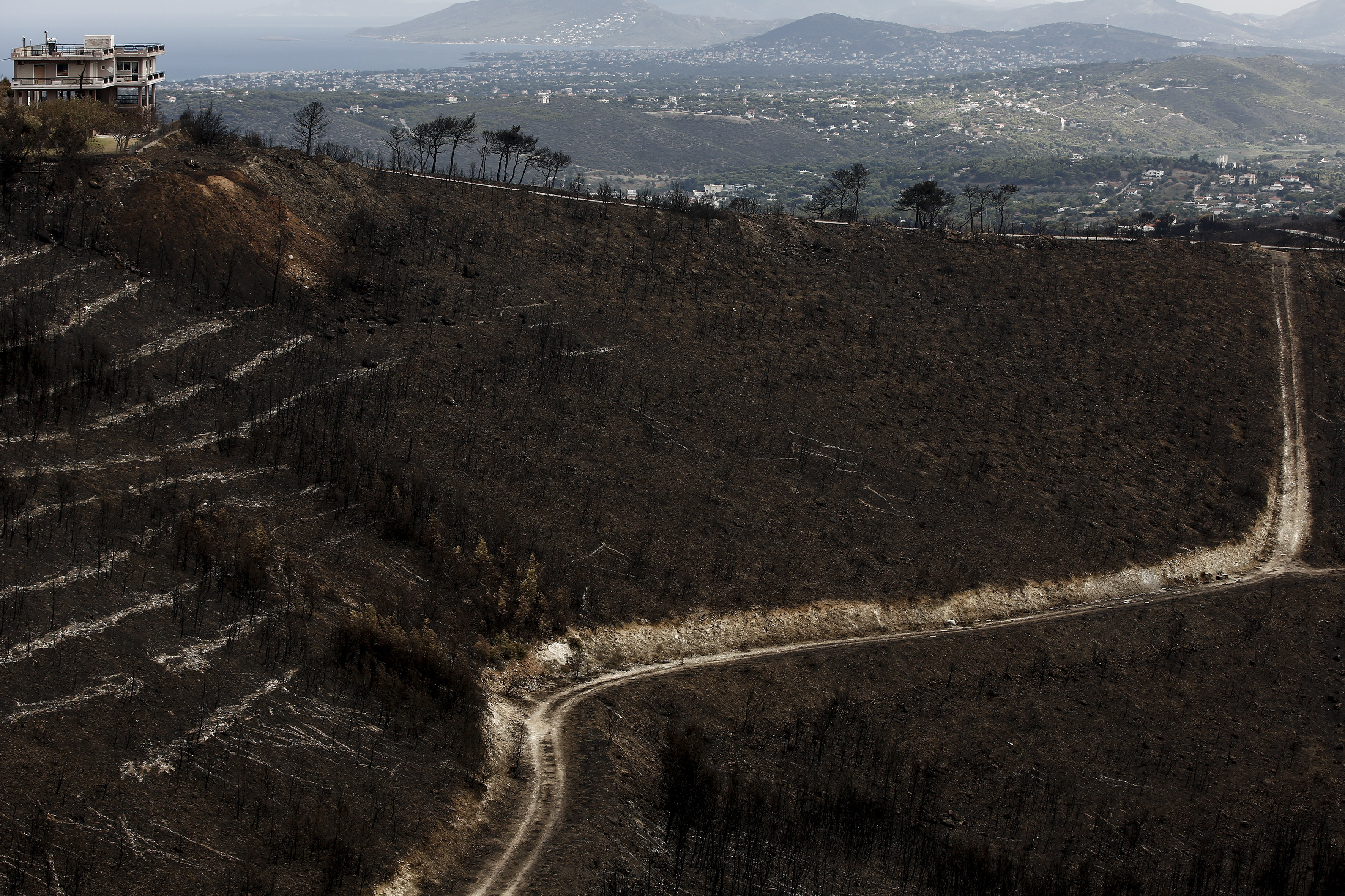 Bild: Απέτυχαν οι ελληνικές αρχές απέναντι στις φονικές πυρκαγιές