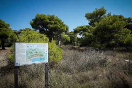 Πολύ υψηλός ο κίνδυνος εκδήλωσης πυρκαγιάς την Τετάρτη