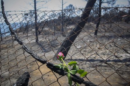 Επιθεωρήτρια Δημόσιας Διοίκησης: Πόρισμα για το Μάτι σε δυο-τρεις μήνες
