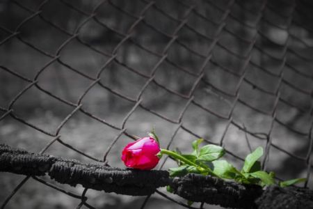 Συγκίνηση στην κηδεία του ιερέα που πέθανε στο Μάτι