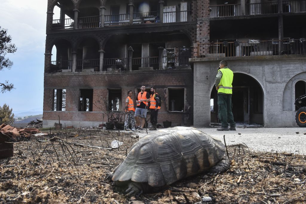 Και η Βουλή σε αυτούς που θα ανακατασκευάσουν το Λύρειο Ιδρυμα