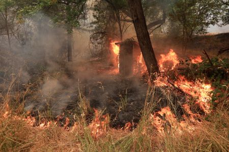 ΗΠΑ – Καλιφόρνια: Συνεχίζεται η μάχη με την πύρινη λαίλαπα