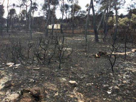 ΕΔΕ για την τραγωδία στο Μάτι ζητά ο πρώην υπαρχηγός της Πυροσβεστικής