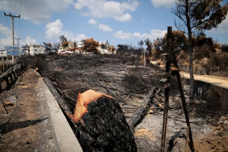 Ιατρικός Σύλλογος: Ζητά μετρήσεις για αέρα και νερό στις πυρόπληκτες περιοχές