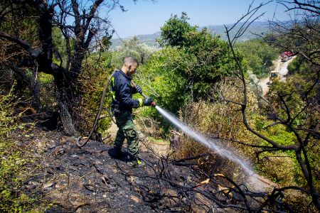 Φωτιά στην Άρλα Αχαΐας, απειλήθηκε το χωριό