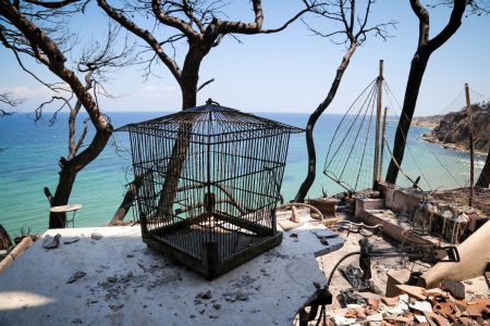 Πυρκαγιά – προσωπική μαρτυρία:Τον έστειλαν στο Μάτι και πέθανε