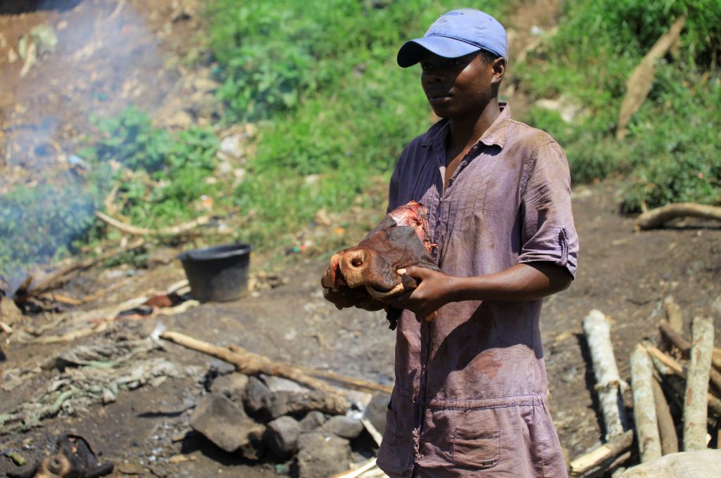 ΠΟΥ: Ανησυχεί για τη νέα επιδημία του Εμπολα