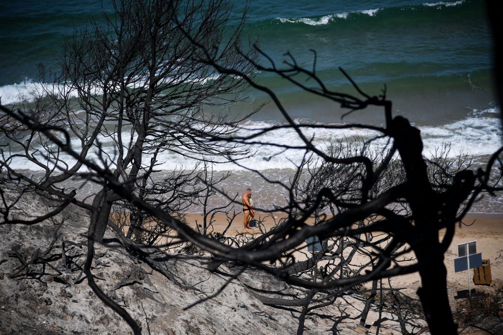 Μάτι: Η αλλοίωση του φυσικού τοπίου και η αλλαγή χρήσης γης, αιτία της φονικής πυρκαγιάς