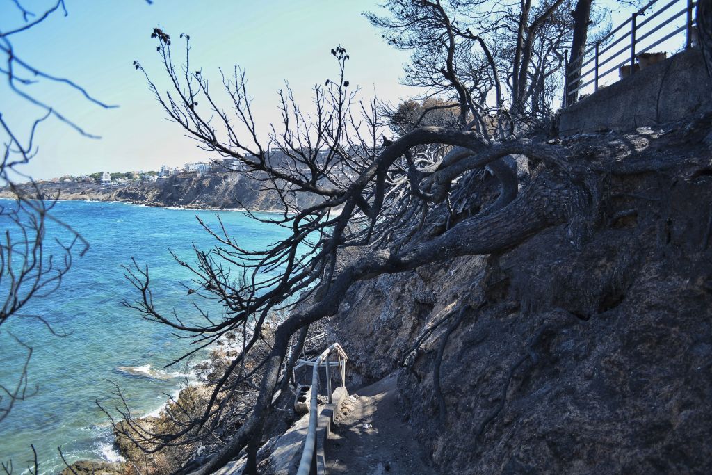 Φωτιά στο Μάτι: Στους 91 οι νεκροί – Κατέληξε 95χρονη που νοσηλευόταν