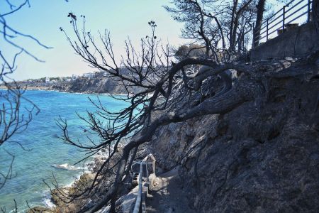 Φωτιά στο Μάτι: Στους 91 οι νεκροί – Κατέληξε 95χρονη που νοσηλευόταν