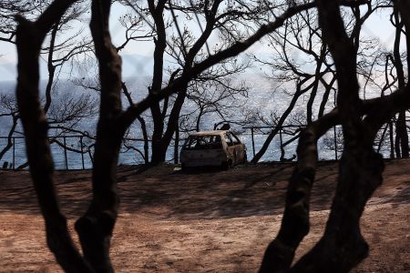 Μάτι : Μήνυση κατά Σκουρλέτη-Τόσκα από την οικογένεια Φύτρου