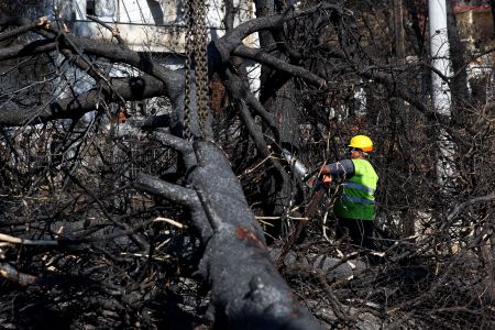Πολύ υψηλός ο κίνδυνος πυρκαγιάς την Κυριακή