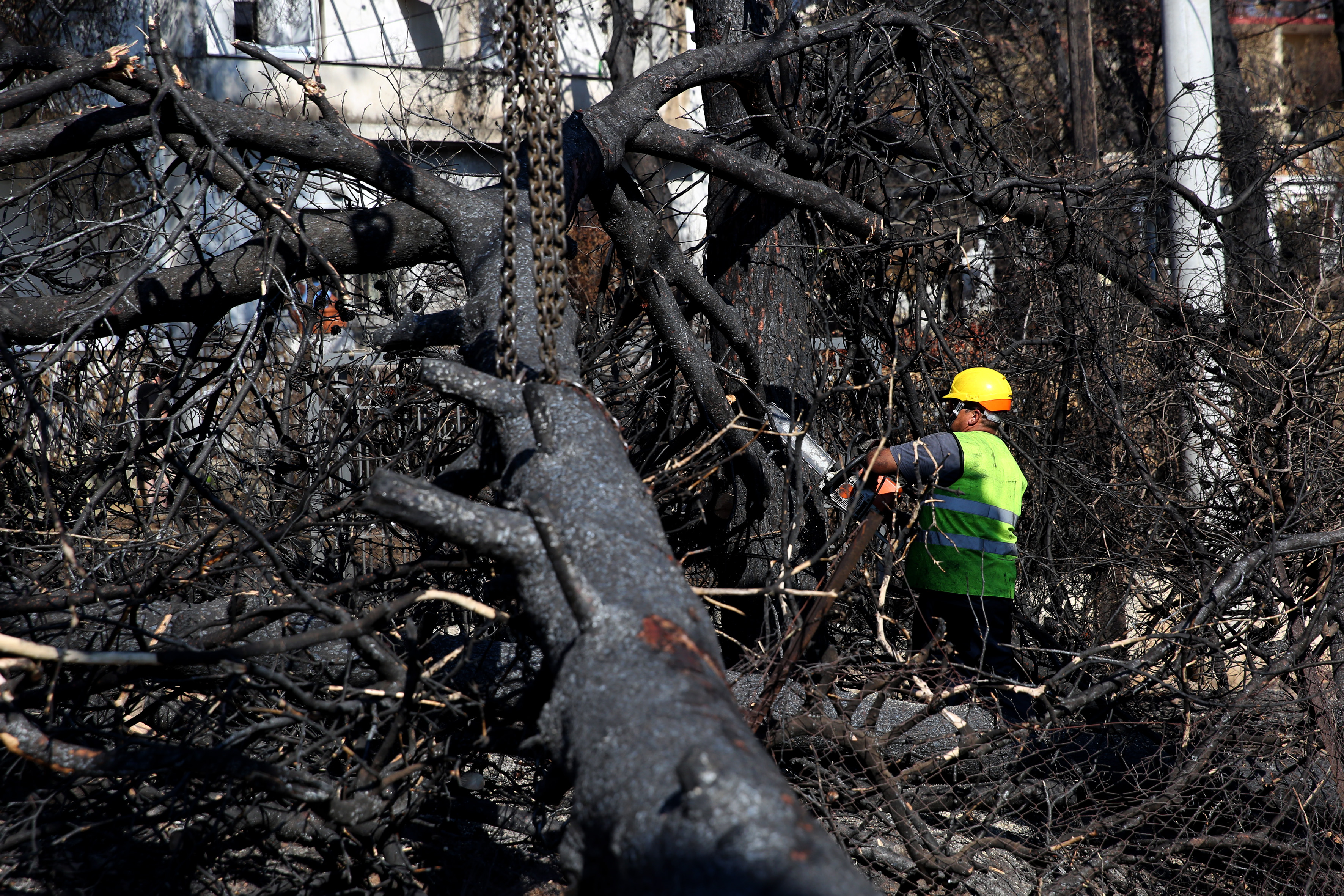 Πολύ υψηλός ο κίνδυνος πυρκαγιάς την Κυριακή