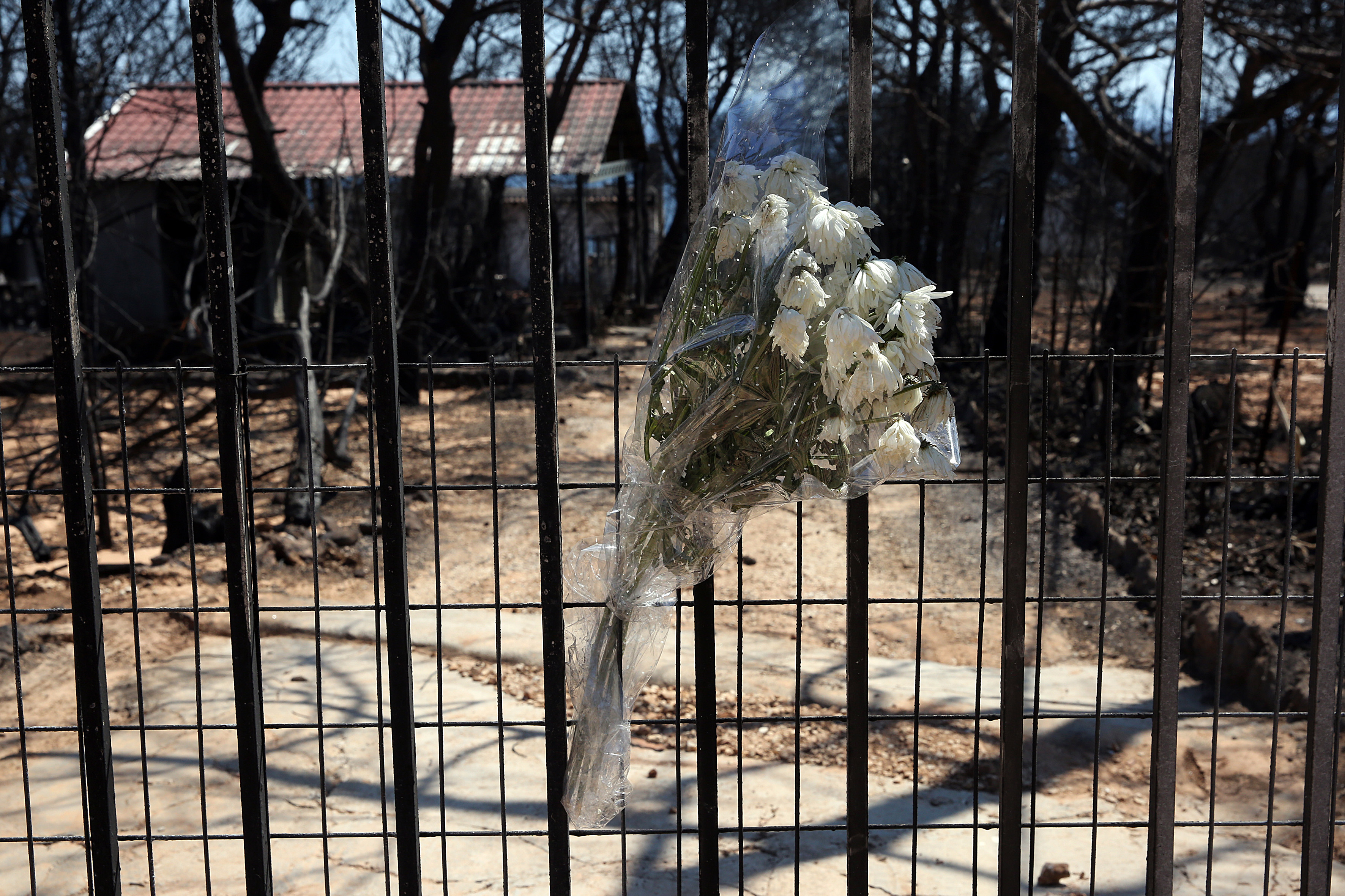 Ο απολογισμός της τραγωδίας στο Μάτι – Οι άνθρωποι που έχασαν τη ζωή τους στη φονική πυρκαγιά