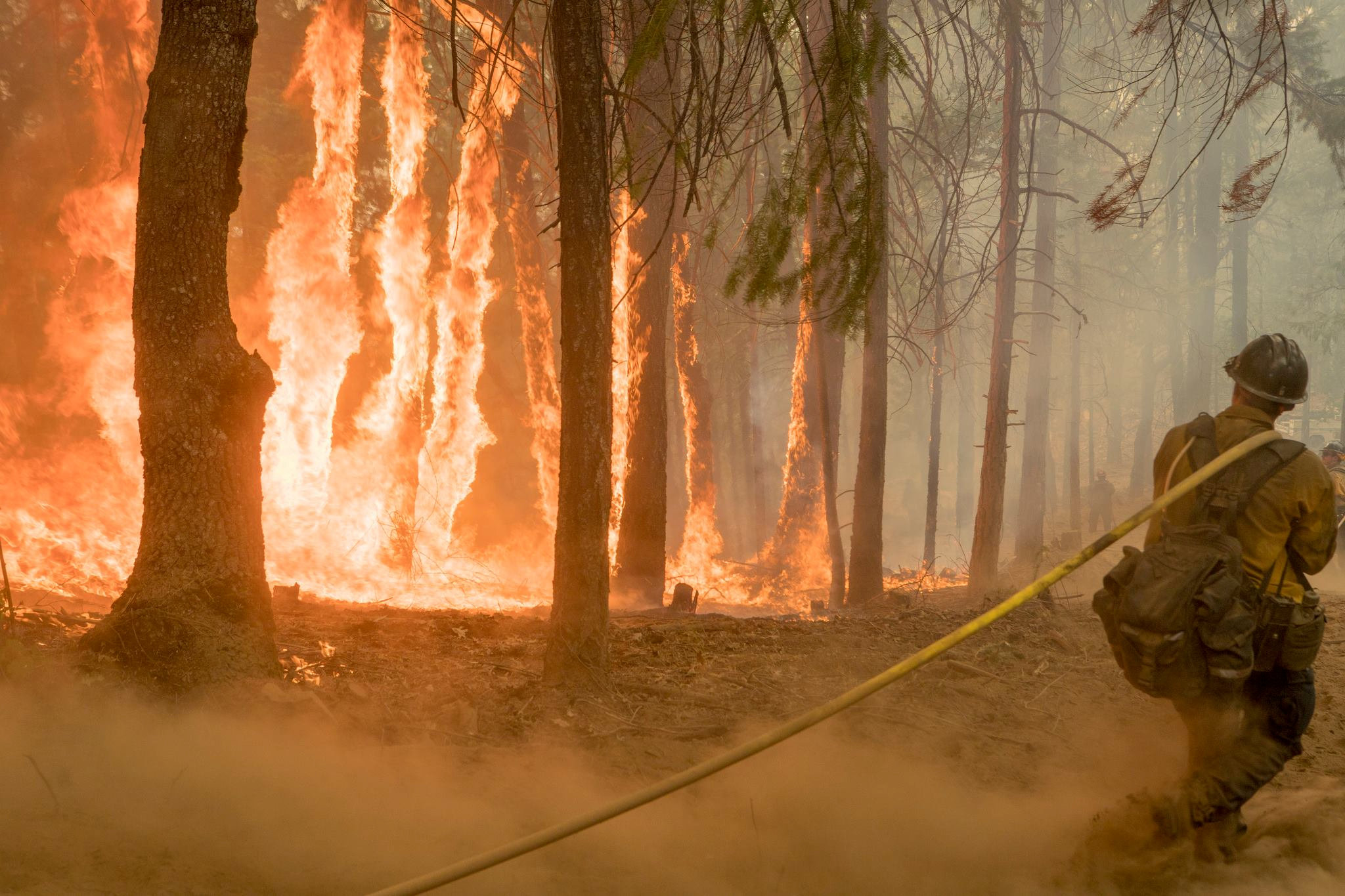 Καλιφόρνια: Νεκρός πυροσβέστης στις καταστροφικές πυρκαγιές