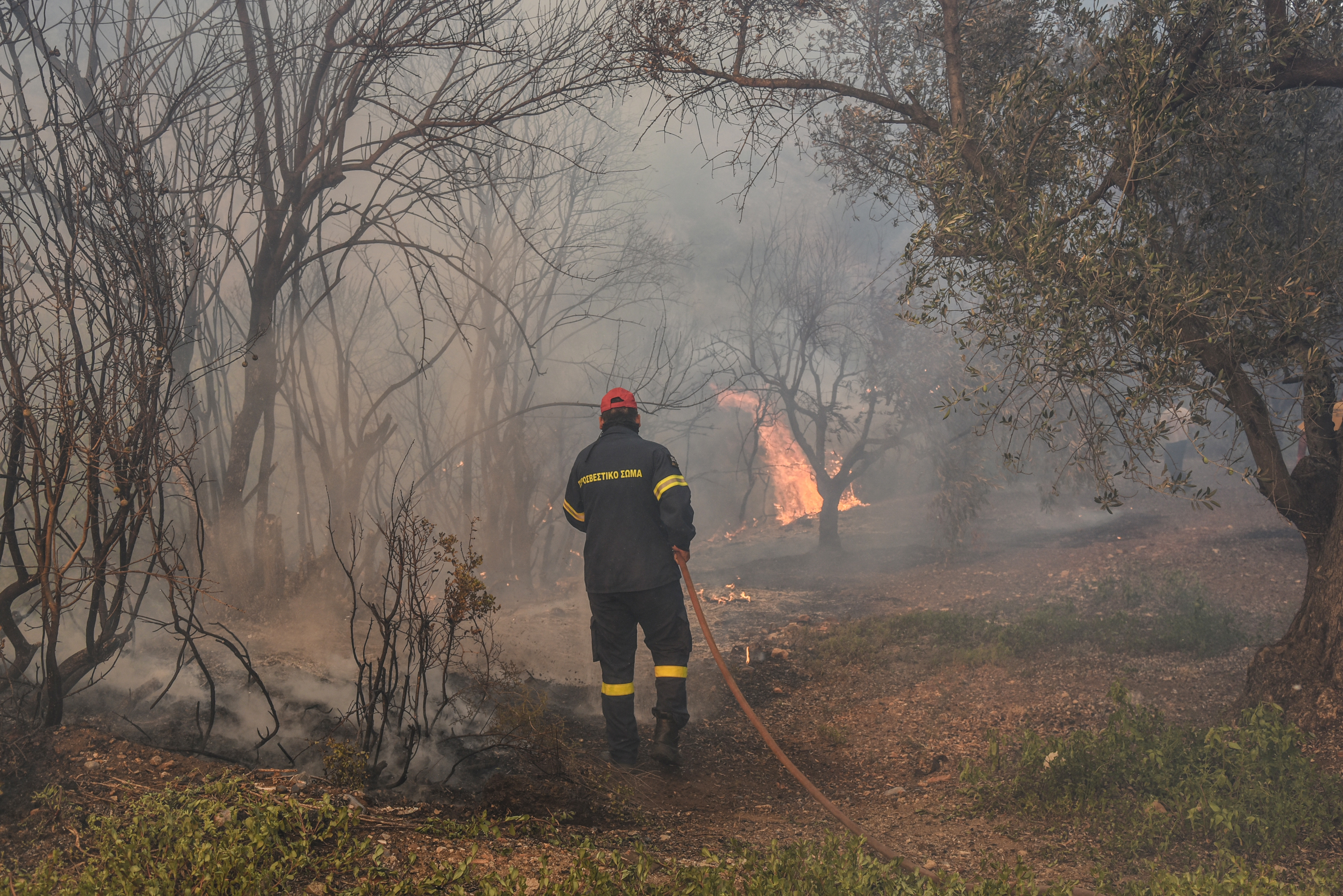 Εύβοια – φωτιά: Σε αντίθεση με την πυρκαγιά στο Μάτι υπήρξε συντονισμός