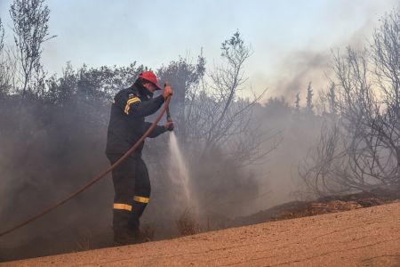 Μάχη με τις φλόγες στην Κεφαλονιά – Τέσσερα πύρινα μέτωπα σε πλήρη εξέλιξη