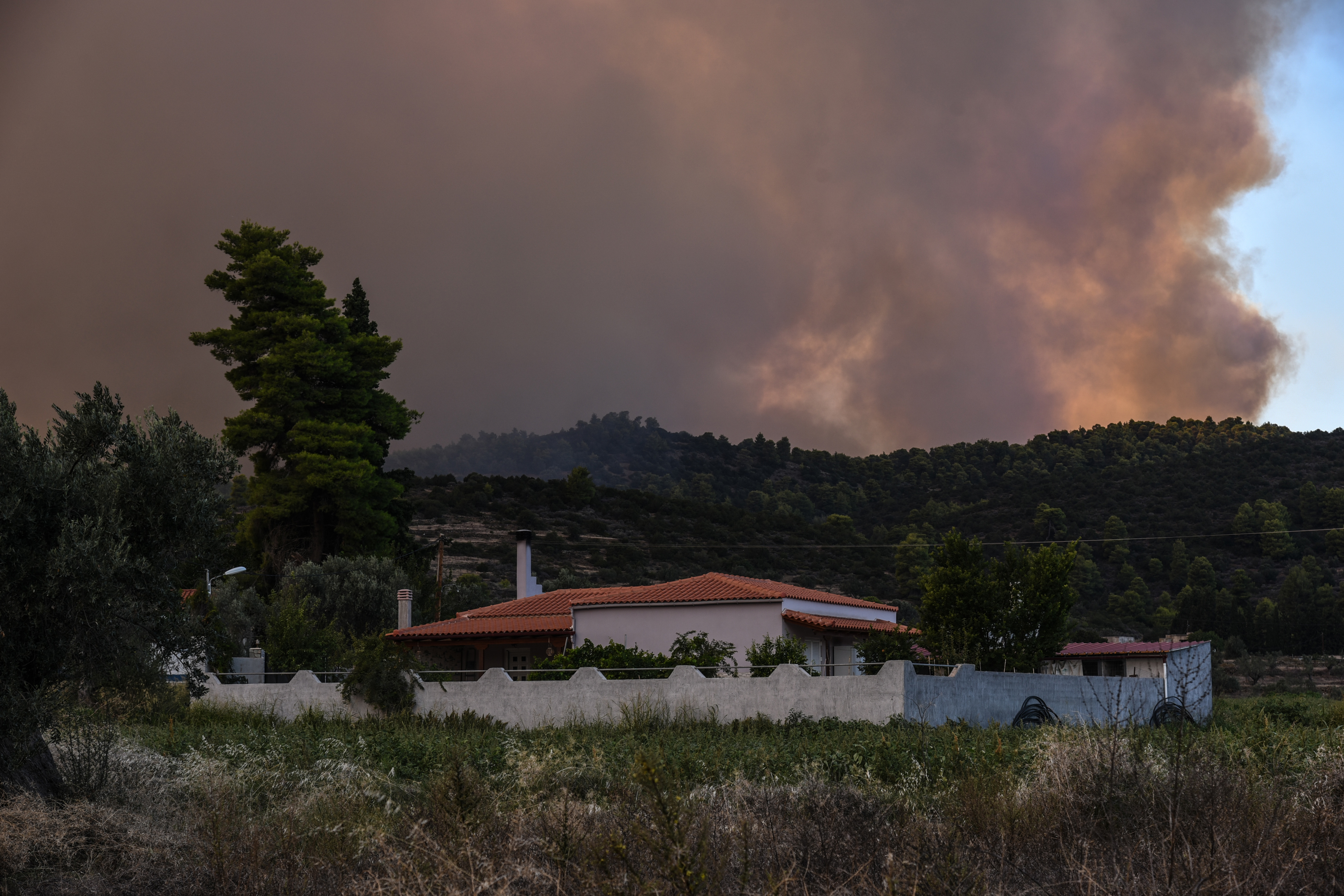 Εύβοια – πυρκαγιά : Κάηκαν περισσότερα από 12.000 στρέμματα