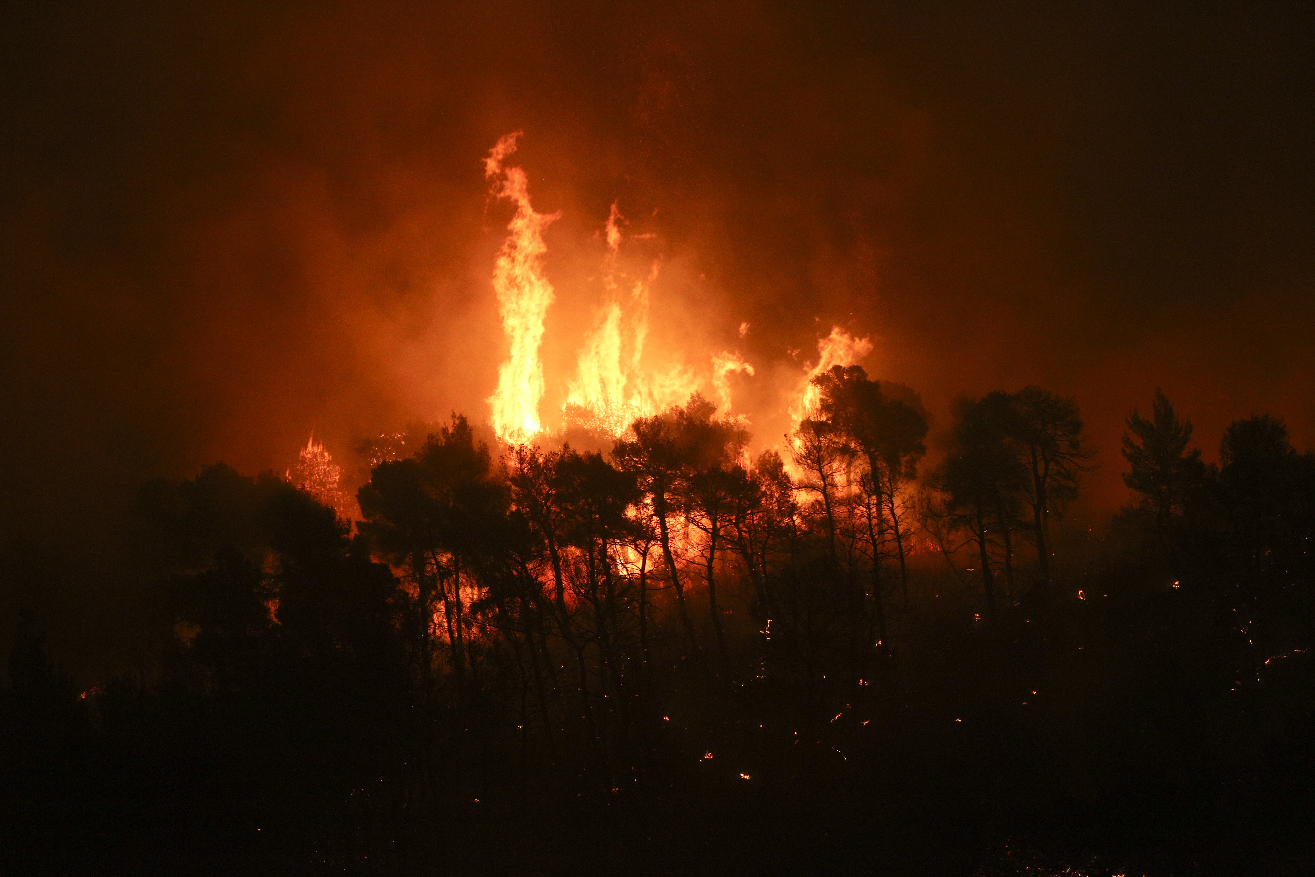 Πύρινη λαίλαπα στην Εύβοια – Ολονύχτια η μάχη με τις φλόγες – Σε κατάσταση έκτακτης ανάγκης ο δήμος