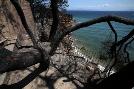 Μάτι : Πόρισμα – κόλαφος για τα εγκληματικά λάθη που οδήγησαν στη τραγωδία