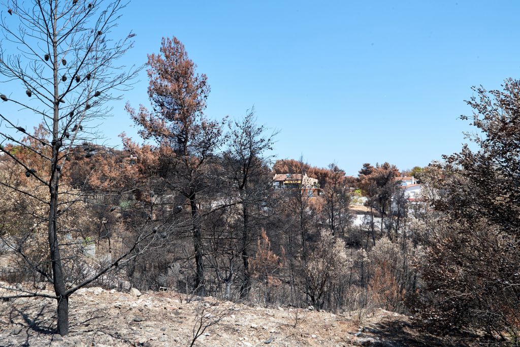 Καθυστερημένα έφτασε η πυροσβεστική στο Νταού Πεντέλης