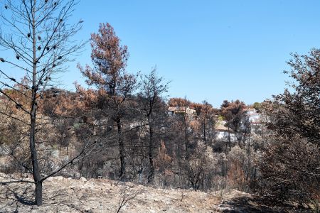 Καθυστερημένα έφτασε η πυροσβεστική στο Νταού Πεντέλης