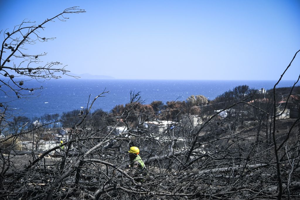 Κυβέρνηση : Ζητά παραίτηση των πυρόπληκτων από οικονομικές απαιτήσεις για διορισμό στο Δημόσιο