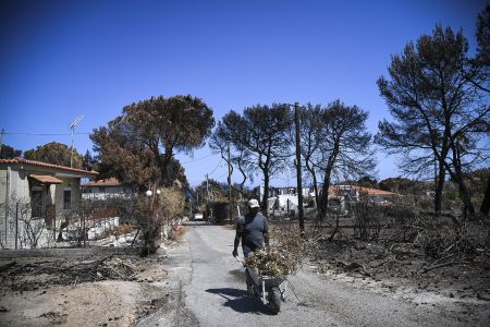 Μάτι : «Νιώθουμε εγκατάλειψη, η κυβέρνηση μας ξέχασε»