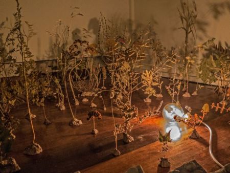 Ο χαμένος παράδεισος του Λόφου