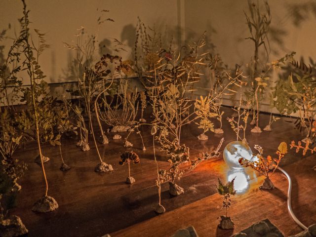 Ο χαμένος παράδεισος του Λόφου