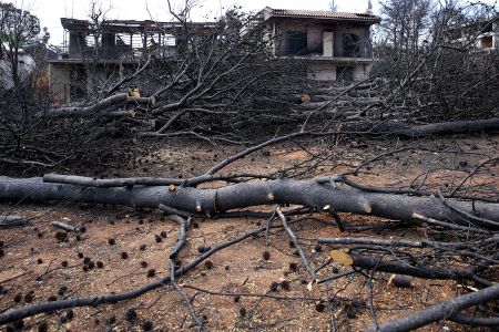 Καταγγελία κατά της Πυροσβεστικής για συγκάλυψη ευθυνών στο Μάτι