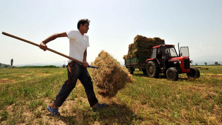 Mικροπιστώσεις έως και 25.000 ευρώ σε αγρότες από το ΕΤΕΑΝ
