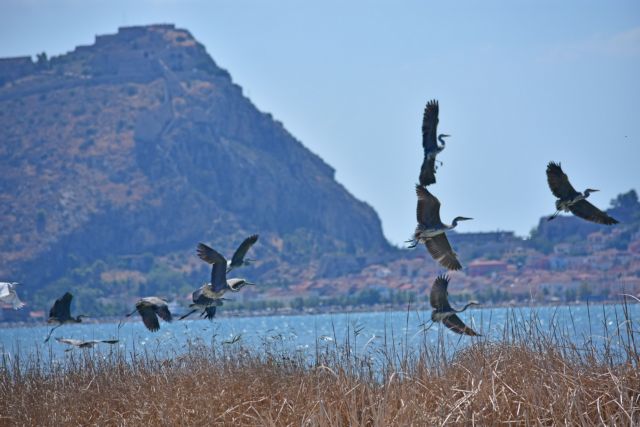 Φθινοπωρινή ισημερία την Κυριακή – Αντίο καλοκαίρι