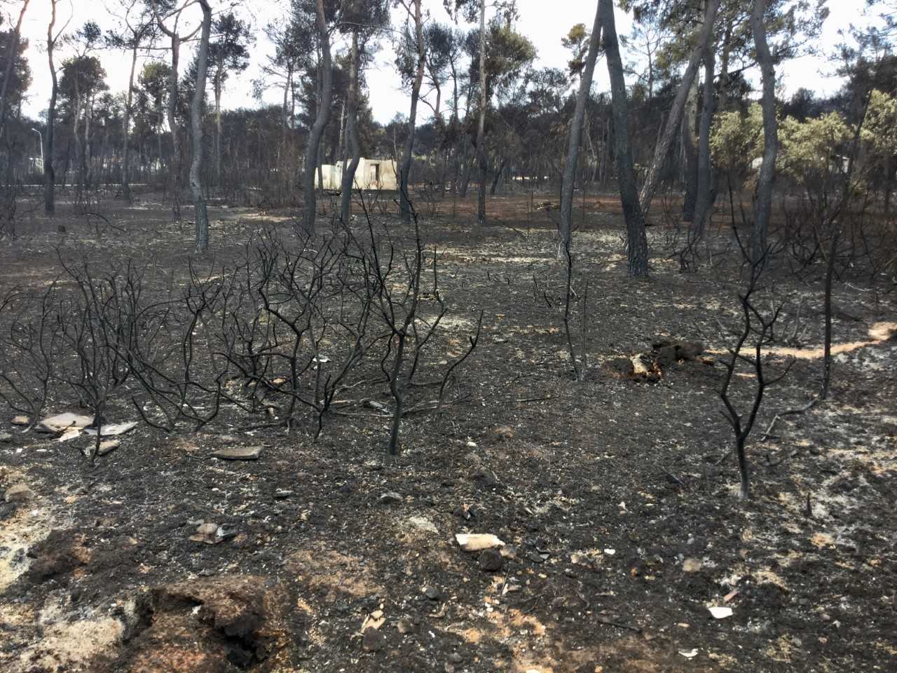 16,9 εκατομμύρια ευρώ για έργα αντιπλημμυρικής προστασίας στις πυρόπληκτες περιοχές