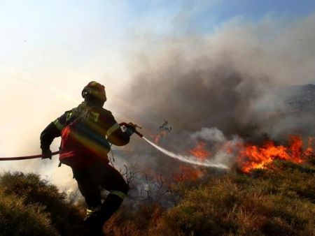 Πύργος Ηλείας: Υπό έλεγχο η πυρκαγιά στην Σπιάτζα – Δεν κινδυνεύει οικισμός