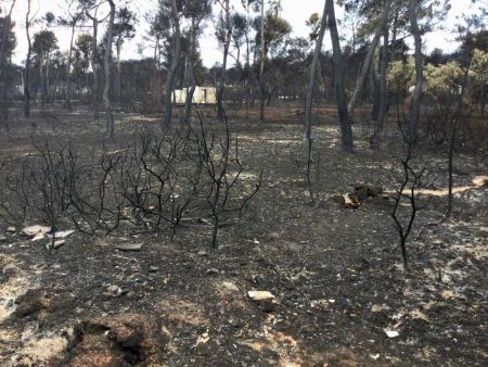 Περιφέρεια Αττικής: Καμία υπέρβαση των ορίων για τους πρωτογενείς ρύπους στο Μάτι