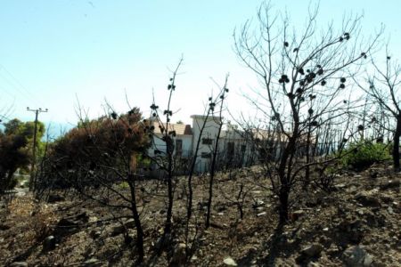 Ξένη Δημητρίου: Ακλόνητη θέληση να προχωρήσει η έρευνα για το Μάτι