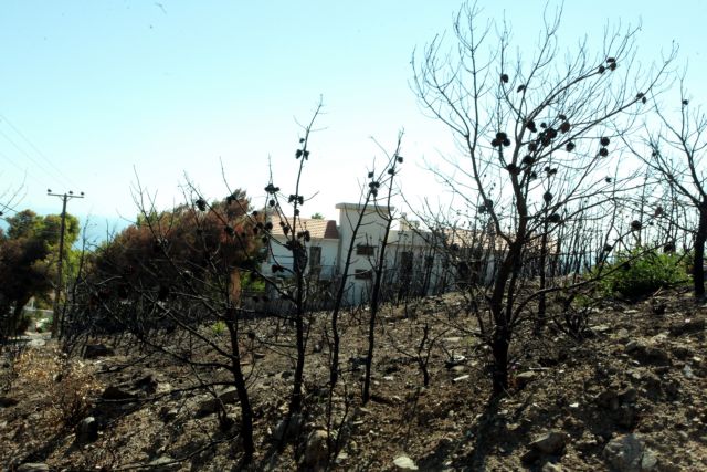 Ξένη Δημητρίου: Ακλόνητη θέληση να προχωρήσει η έρευνα για το Μάτι