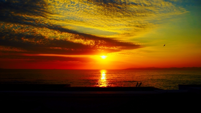 Ταινιοθήκη της Ελλάδος: Πρωτοπορία ξανά!