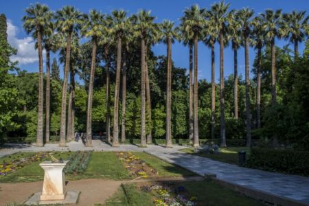 Δώδεκα απαντήσεις για τον Εθνικό Κήπο από το δήμο Αθηναίων