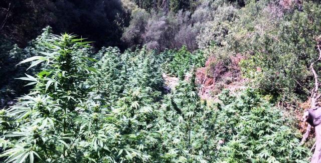 ΕΛ.ΑΣ: Συλλήψεις για διακίνηση ναρκωτικών