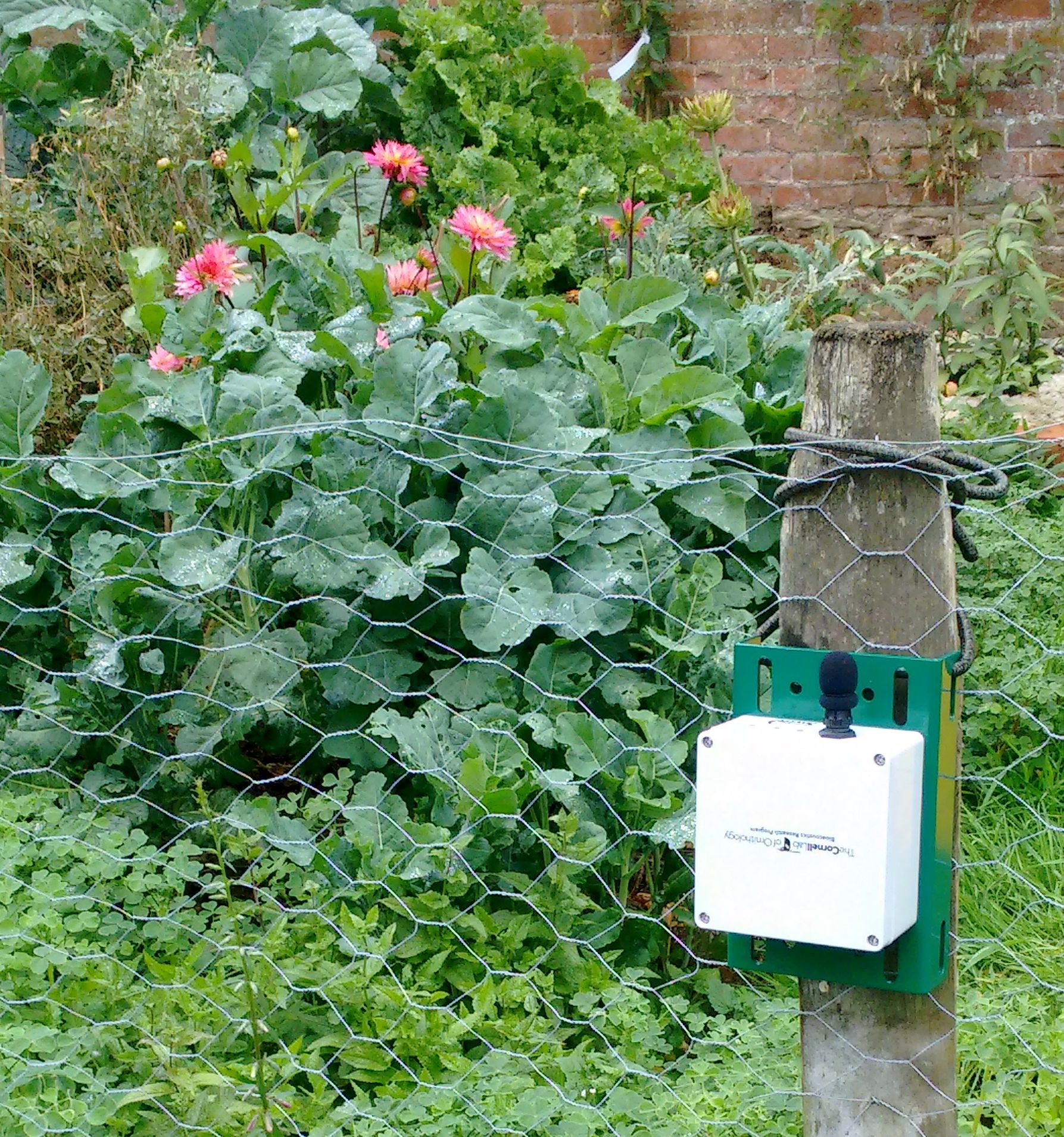 Ροδόπη: Τα δέντρα θα έχουν… αυτιά – Πρωτοποριακό πιλοτικό πρόγραμμα