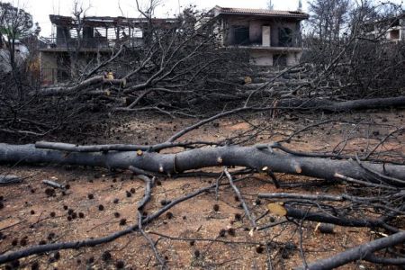 Με νομοθετική ρύθμιση η έκδοση οικοδομικών αδειών στα καμένα