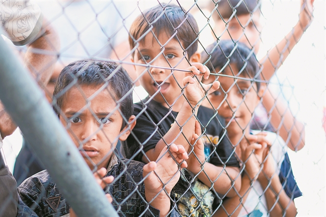 Ανθρωποι και ποντίκια στη «ζούγκλα» της Σάμου