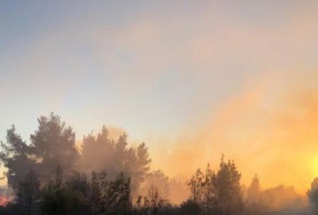 Φωτιά Χαλκιδική : Εκτείνεται σε 3 χλμ. – Προληπτική εκκένωση του οικισμού Σάρτη