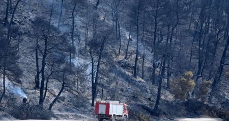 Πυρκαγιά Χαλκιδική : Στα 7.000 στρέμματα η έκταση καμμένης γης
