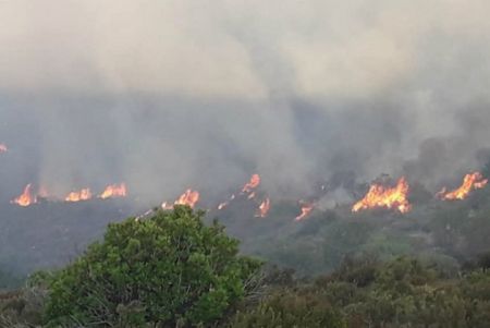 Σε μερικό έλεγχο τέθηκε η πυρκαγιά στη Σέτα Ευβοίας