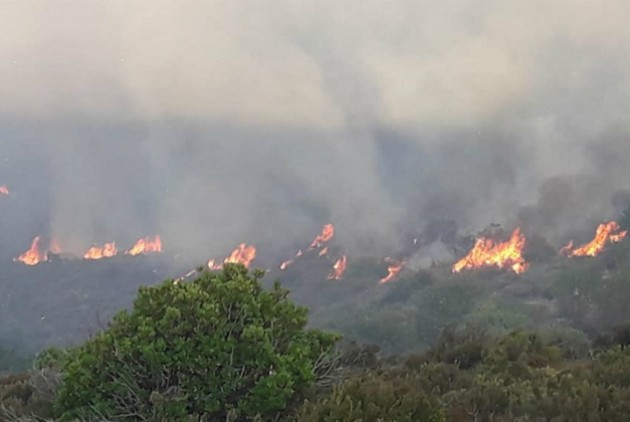 Σε μερικό έλεγχο τέθηκε η πυρκαγιά στη Σέτα Ευβοίας