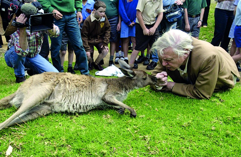 Σερ Ντέιβιντ Ατένμπορο : Στο BBC Earth θέλουμε να είμαστε οι πρώτοι